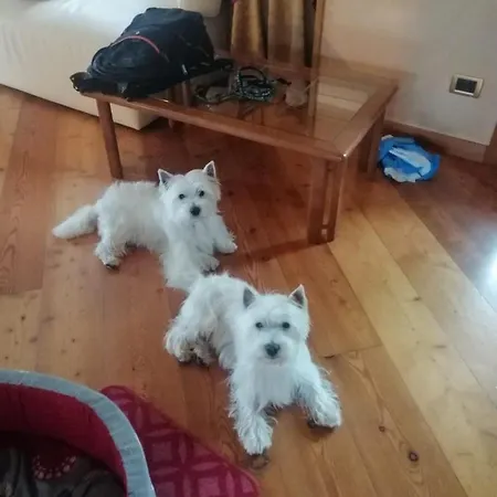 بيت للعطل Belmonte